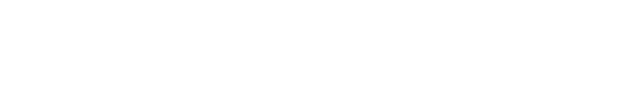 Paradigm Life