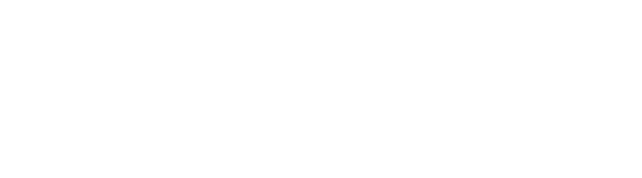 Voxel