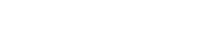Wisdocity