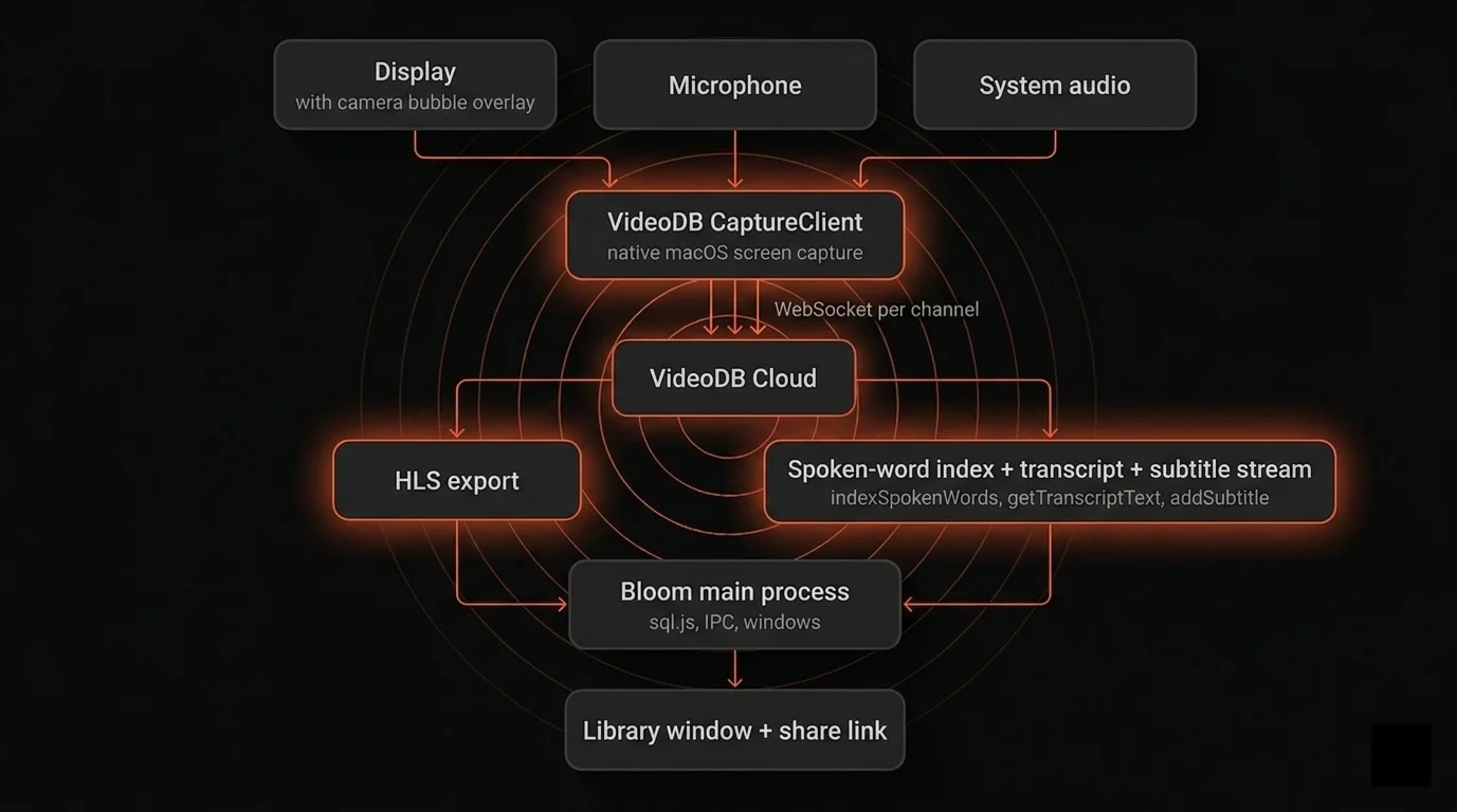 Bloom architecture: display, mic, and system audio enter the VideoDB capture client as three channels, stream to VideoDB Cloud over per-channel WebSockets, branch into HLS export and a spoken-word index plus transcript plus subtitle stream, and return to the Bloom main process which writes the local sql.js library and produces a share link